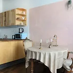 Apartment Charme D'ancien Au Coeur De Vieux-tours