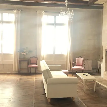 Charme D'ancien Au Coeur De Vieux-tours Apartamento *