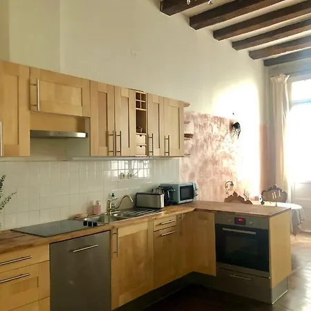 Charme D'ancien Au Coeur De Vieux-tours Tours