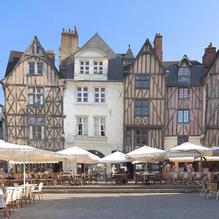 Apartment Charme D'ancien Au Coeur De Vieux-tours *