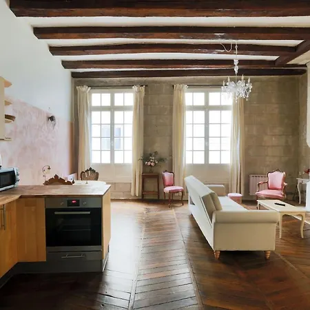 Apartamento Charme D'ancien Au Coeur De Vieux-tours