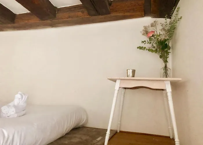 Charme D'ancien Au Coeur De Vieux-tours Lejlighed Tours